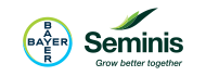 SEMINIS